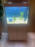 Juwel lido 200, Dieren en Toebehoren, Ophalen, Gebruikt