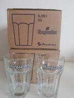 glas Hoegaarden 25 cl bierglazen - laatste 4 glazen, Ophalen of Verzenden, Nieuw, Bierglas