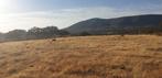 Z-Portugal terrein 36 Ha met vervallen boerderij  aan rivier, Immo, Vila Verde de Ficalho, 500 m², Woonhuis, Portugal