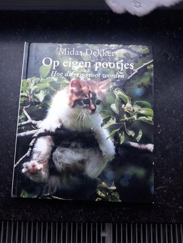 Midas Dekkers - Op eigen pootjes beschikbaar voor biedingen