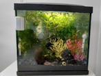 2 nano aquariums., Dieren en Toebehoren, Ophalen, Zo goed als nieuw