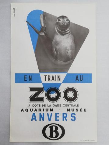 Affiche grand format - Phoque - Zoo d'Anvers - SNCB - 50s