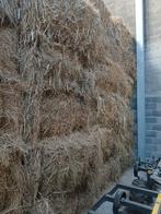 Hooi, Dieren en Toebehoren, Dierenvoeding, Ophalen