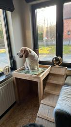 Dierentoren (hond/kat), Dieren en Toebehoren, Ophalen, Gebruikt