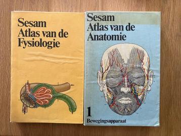 Sesam atlas van de anatomie en de fysiologie beschikbaar voor biedingen
