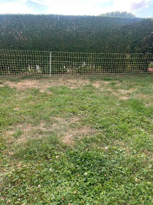 Afsluiting voor kleinvee, Dieren en Toebehoren, Schapen, Geiten en Varkens, Schaap