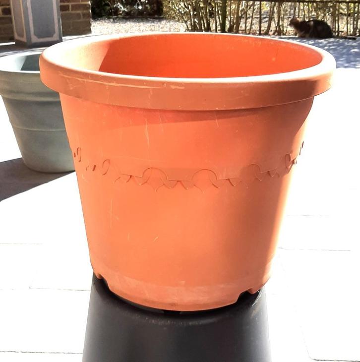 Te koop: Elho Algarve Cilindro 33cm - Grote Bloempot, Tuin en Terras, Bloempotten, Gebruikt, Kunststof, Balkon, Tuin, Minder dan 40 cm