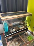 Hamster terrarium, Dieren en Toebehoren, Gebruikt, Hok, Hamster, 75 tot 110 cm