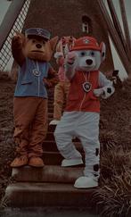 Mascotte pakken paw patrol, Kinderen en Baby's, Carnavalskleding en Verkleedspullen, Ophalen, Zo goed als nieuw