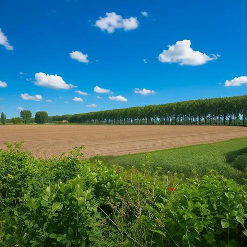 Grond te koop in Maldegem, Immo, Gronden en Bouwgronden, tot 200 m²