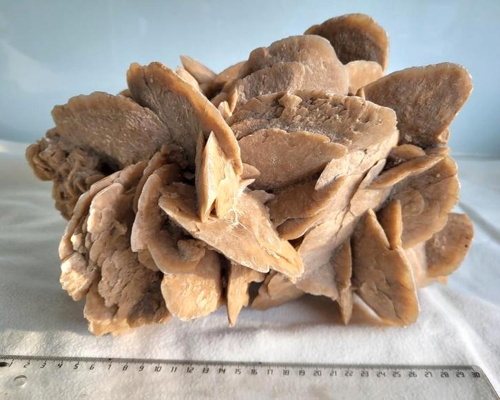 Grande rose des sables, Collections, Minéraux & Fossiles, Minéral, Enlèvement