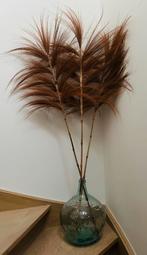 Vase en verre avec tiges d'herbe de pampa, longueur 170, Enlèvement, Comme neuf