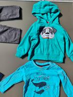 groene rits cardigan, gillet, pull, trui, hoody hond 74, Kinderen en Baby's, Babykleding | Maat 74, Ophalen of Verzenden, Zo goed als nieuw