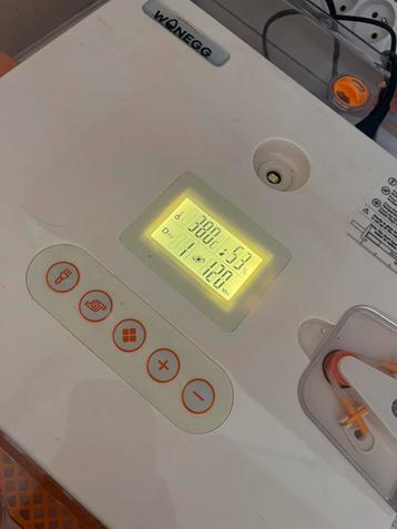 Broedmachine hhg56 beschikbaar voor biedingen