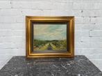 Landschap door Leo Cools, Ophalen