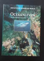 Oceaanleven in de kristallen wateren, Boeken, Dieren en Huisdieren, Gelezen, Ophalen of Verzenden, Vissen