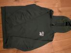 Stussy hoodie, Kleding | Heren, Truien en Vesten, Stussy, Ophalen of Verzenden, Zo goed als nieuw, Groen