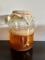 kombuchazwam / scoby met startersvloeistof, Diversen, Ophalen