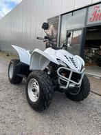 YAMAHA WOLVERINE, Motoren, 421 cc, 12 t/m 35 kW