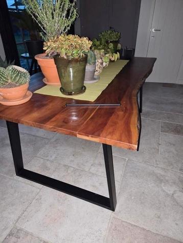 Boomstammentafel 200cm op 100cm beschikbaar voor biedingen