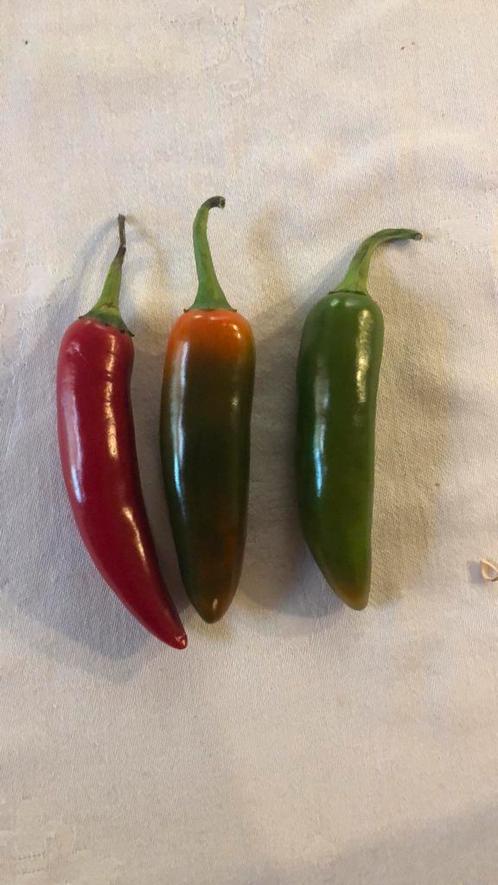 Serano peper, Diversen, Levensmiddelen, Ophalen of Verzenden