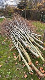 Wilgen te koop voor knotwilgen, Ophalen