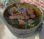 Vijver half wijnvat, Tuin en Terras, Ophalen, Zo goed als nieuw