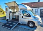 Camion Chevaux Peugeot Boxer EquiTrek, Euro 6, Bedrijf, Grijs, Zilver of Grijs