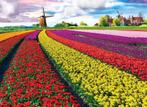 Puzzel „Tulip Fields” van 1000 stukjes (68 x 48 cm), Ophalen of Verzenden, 500 t/m 1500 stukjes, Zo goed als nieuw, Legpuzzel