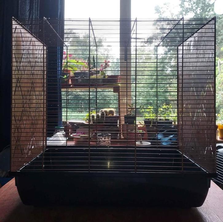 GRATIS kooi voor kleine knaagdieren 55x57 cm, Dieren en Toebehoren, Knaagdieren en Konijnen | Hokken en Kooien, Gebruikt, Kooi