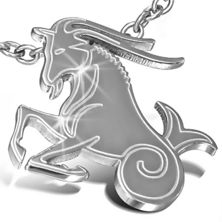 Steenbok horoscoop / sterrenbeeld hanger in edelstaal, Handtassen en Accessoires, Kettinghangers, Nieuw, Ophalen of Verzenden