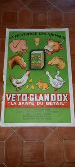 ancienne affiche publicitaire veto glandox, Utilisé, Enlèvement ou Envoi
