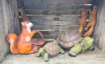 Schildpadden en eekhoorns, Enlèvement, Neuf, Synthétique, Animal