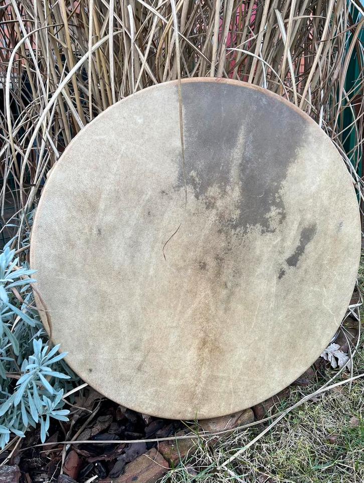 Sjamaan drum Edelhert (perkament) 55 cm., Musique & Instruments, Percussions, Neuf, Enlèvement