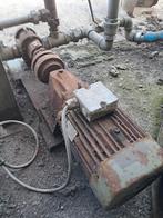 Melassepomp, Dieren en Toebehoren, Ophalen