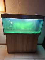 jewel rio 180, Dieren en Toebehoren, Ophalen, Zo goed als nieuw, Gevuld zoetwateraquarium