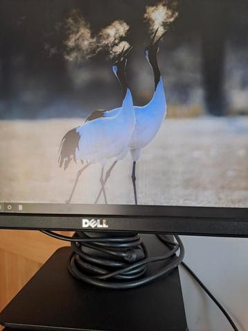 Monitor dell  beschikbaar voor biedingen