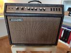 Vintage gitaarbuizenversterker ACOUSTIC GT60, Muziek en Instrumenten, Ophalen of Verzenden, Gebruikt, Gitaar, Minder dan 50 watt