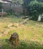 Gratis brandhout te mol, Tuin en Terras, Brandhout, Ophalen