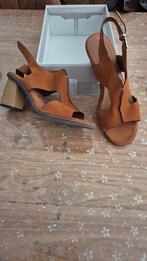 Dames schoenen, Enlèvement, Brun