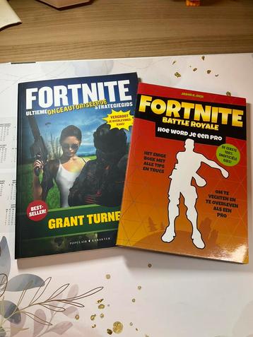 Set 2 boeken over Fortnite beschikbaar voor biedingen