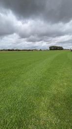 Inzaaien van gras aan lage prijs!, Ophalen, Zo goed als nieuw, Gras