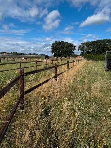 Houten omheining - doorsteekomheining - paardenweide beschikbaar voor biedingen