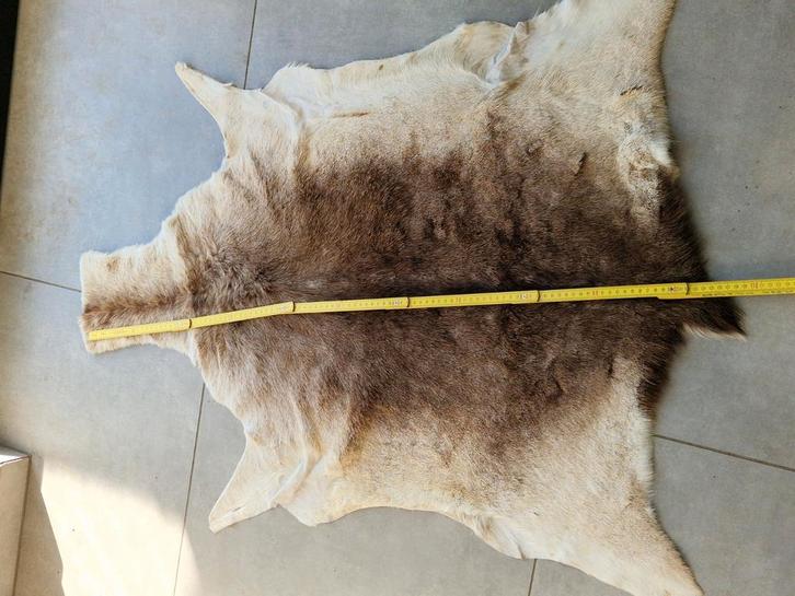 Dikke mooie Reehuid , hertenvacht , 110cm lengte, Watersport en Boten, Hengelsport | Vliegvissen, Zo goed als nieuw, Ophalen of Verzenden