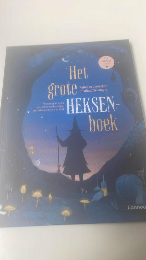 Kathleen Vereecken - Het grote heksenboek, Boeken, Kinderboeken | Jeugd | onder 10 jaar, Ophalen of Verzenden