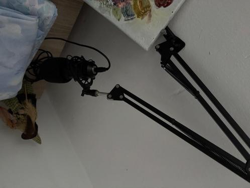 Microphone BIRD UM1 USB, Muziek en Instrumenten, Microfoons, Gebruikt, Ophalen