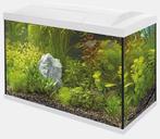 SuperFish Start 70 Tropical Kit | 73L, Dieren en Toebehoren, Vissen | Aquaria en Toebehoren, Ophalen of Verzenden, Zo goed als nieuw