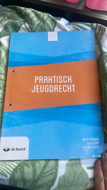 Praktisch jeugdrecht - Ann De Brouwer beschikbaar voor biedingen