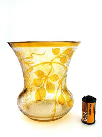  Vase Art Nouveau gravé à l'eau-forte. Cette boîte mate et a