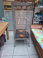 Papegaai kooi, Animaux & Accessoires, Autres accessoires pour animaux, Enlèvement, Utilisé